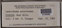 Image Associated With the Occurence